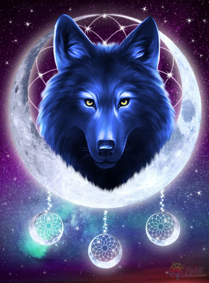 Black Wolf Dreams Paint By Numbers Kit