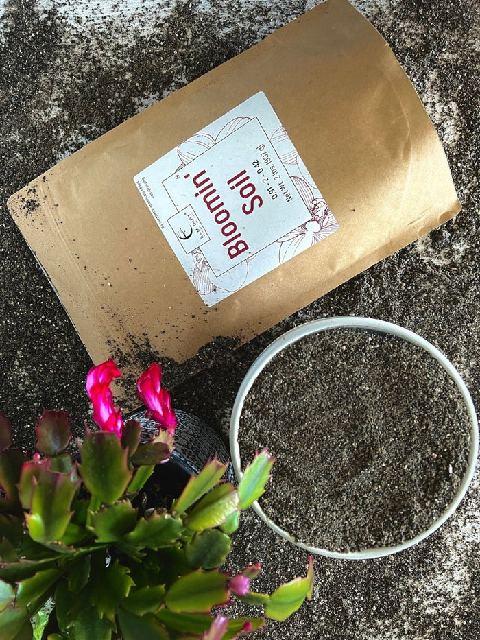 Bloomin' Soil – Organic Nutrient Mix for Bigger, Longer Blooms - Ed's Plant Shop