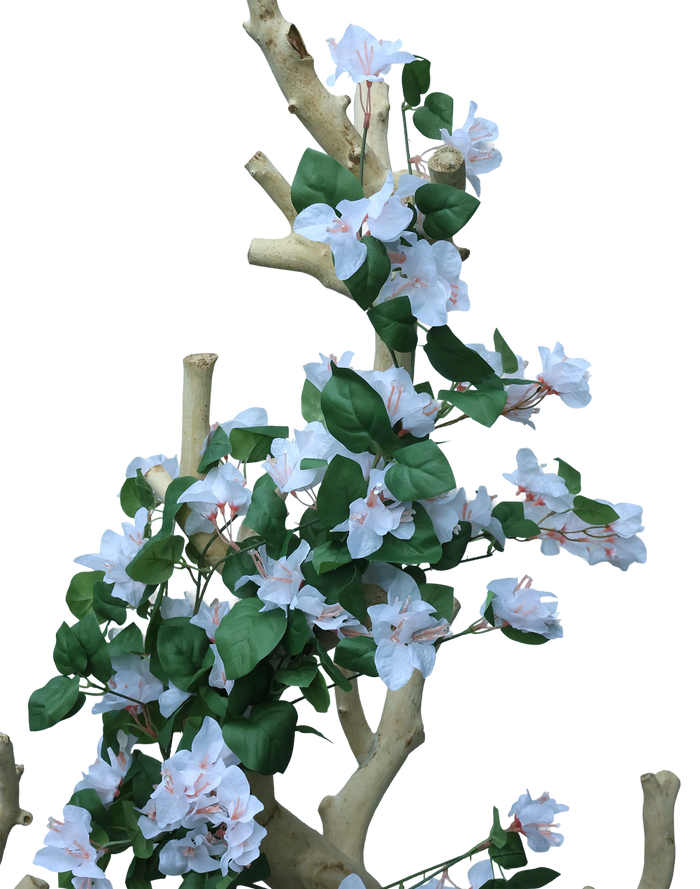 Bougainvillea Bunch 33" | Available in 2 Colors