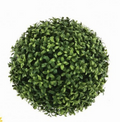 Boxwood Balls