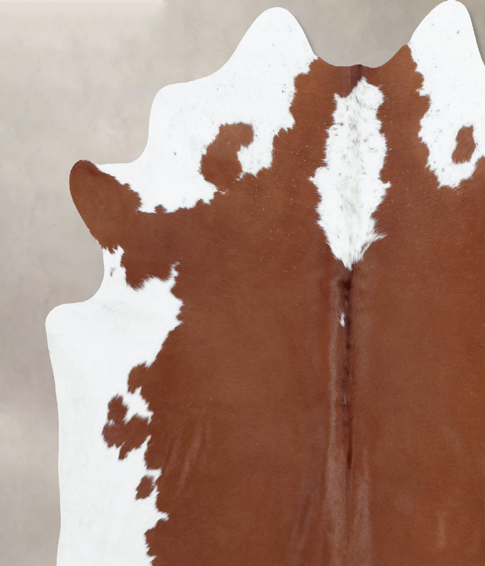 Brown and White Regular Cowhide Rug #B8168