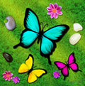 Butterfly Days Paint By Numbers Kit