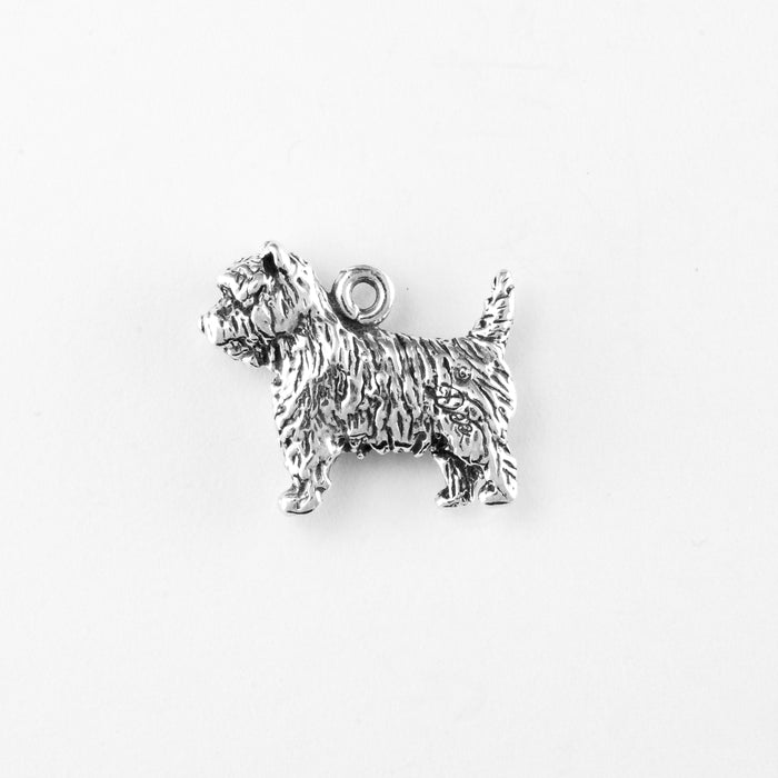 Cairn Terrier