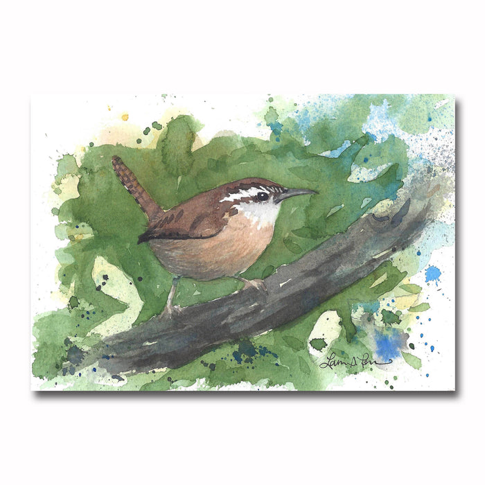 Carolina Wren/Splat Giclee