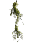 Cedar-style Greenery Vine