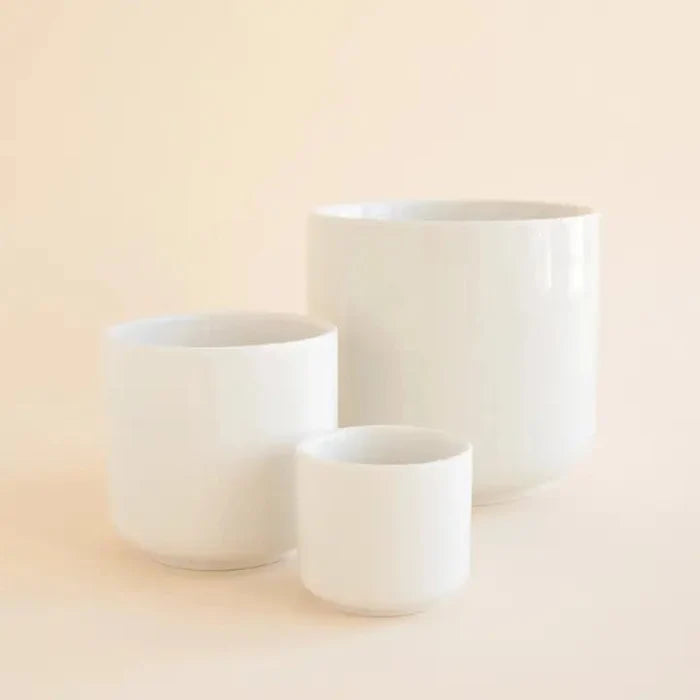 Charlie Planter | White - Ed's Plant Shop