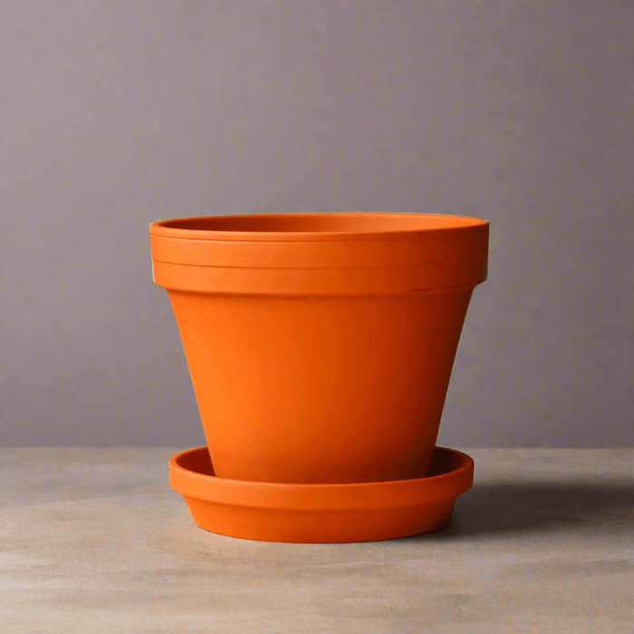 Classic Terracotta Planter Pot with Matching Water Saucer - Ed's Plant Shop