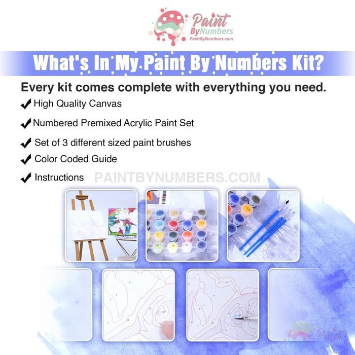 Arctic Dreams Paint By Numbers Kit
