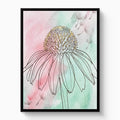 Coneflower Nodding Pale — coneflower nodding pale white studio framed black
