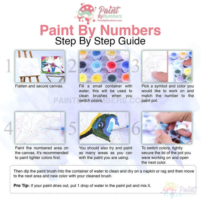 Custom Paint By Numbers Kit - Upload Any Photo 30X40Cm