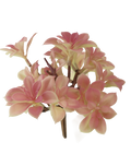 Dusty Mauve Succulent