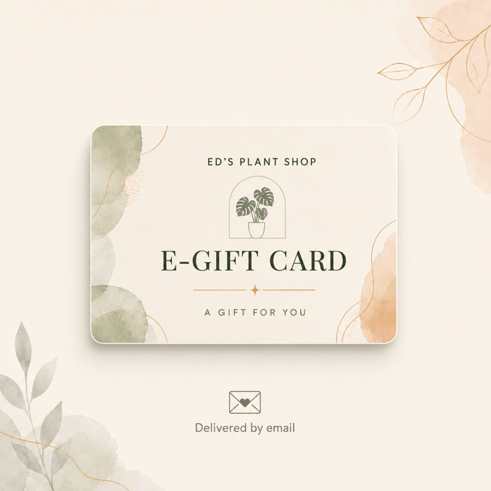 A decorative e-gift card from Ed's Plant Shop with a minimalist design, featuring watercolor botanical accents in soft green and peach on a cream card, shown on a matching light beige background with a small email delivery icon below.