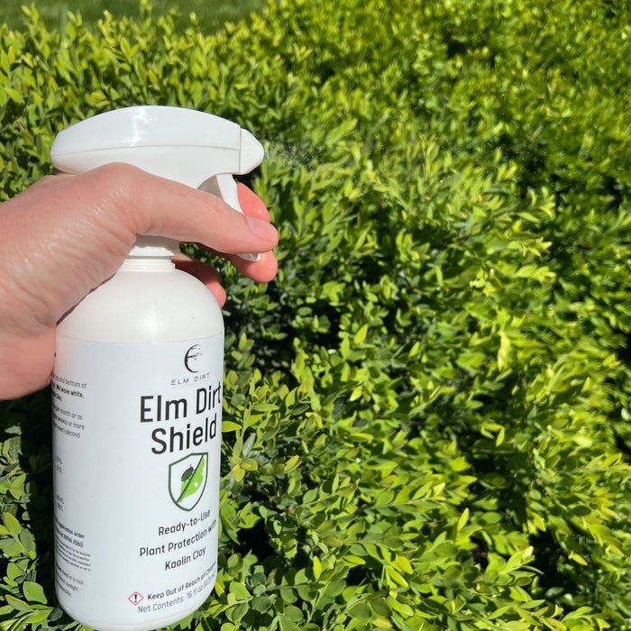 Elm Dirt's Shield, All Natural Pesticide - Ed's Plant Shop