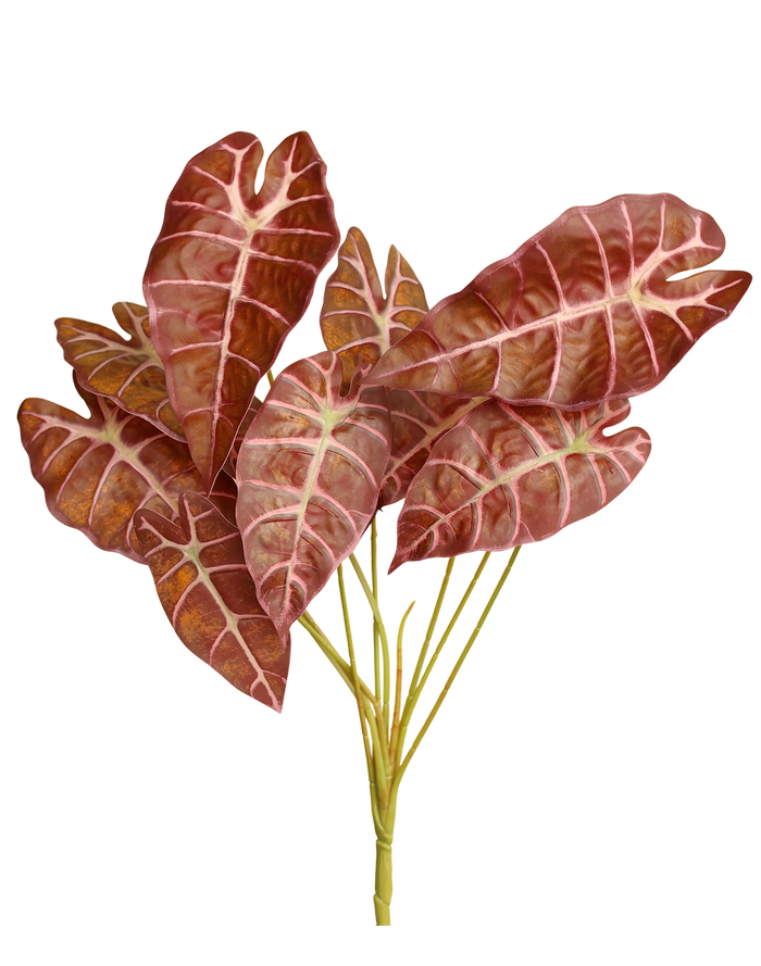Faux Alocasia "Pink Dragon"