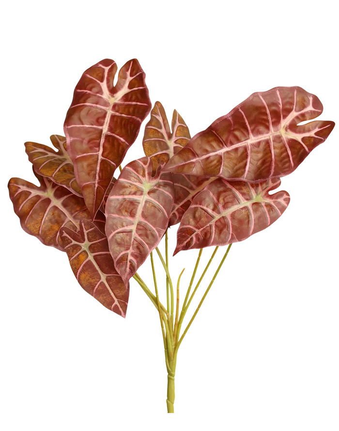 Faux Alocasia "Pink Dragon"