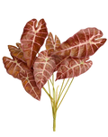 Faux Alocasia "Pink Dragon"