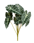 Faux Alocasia "Polly" Multicolor