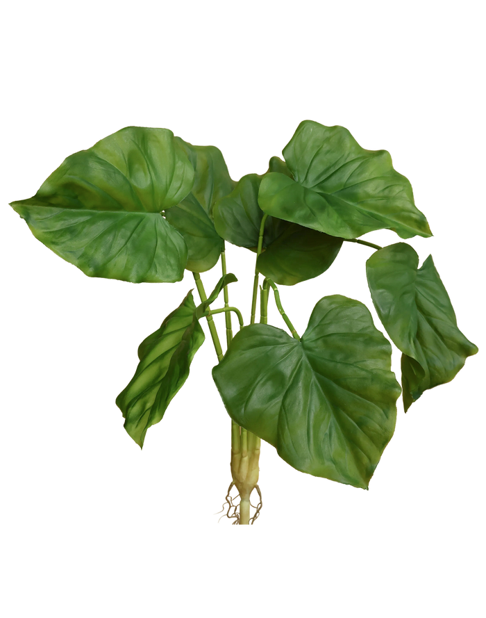 Faux Elephant Ear Green