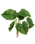 Faux Elephant Ear Green
