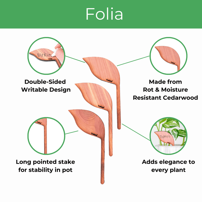 Folia – Wooden Leaf - Shaped Plant Tags (Set of 12) - Ed's Plant Shop