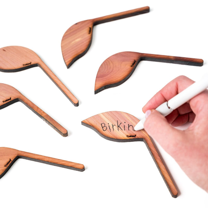 Folia – Wooden Leaf - Shaped Plant Tags (Set of 12) - Ed's Plant Shop