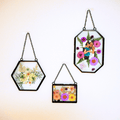 Framed Pressed Flowers Kit - Ed's Plant Shop
