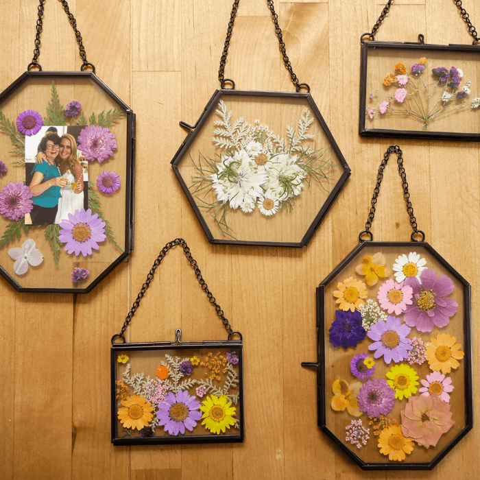 Framed Pressed Flowers Kit - Ed's Plant Shop