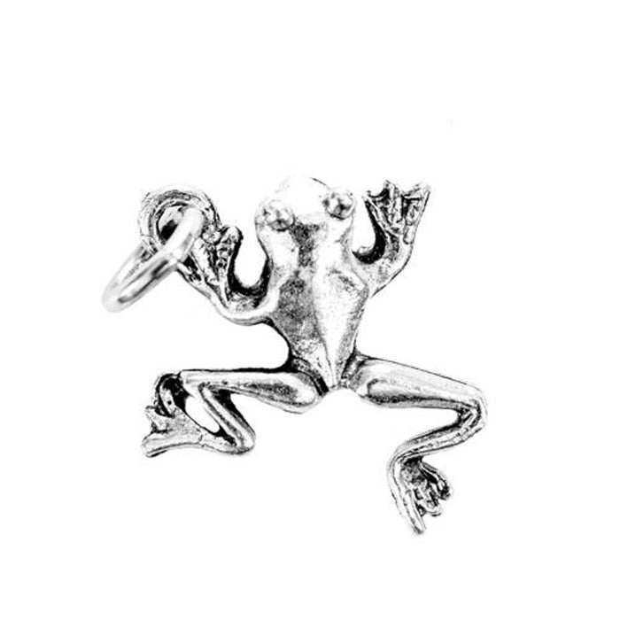 Frog Silver Character Charm