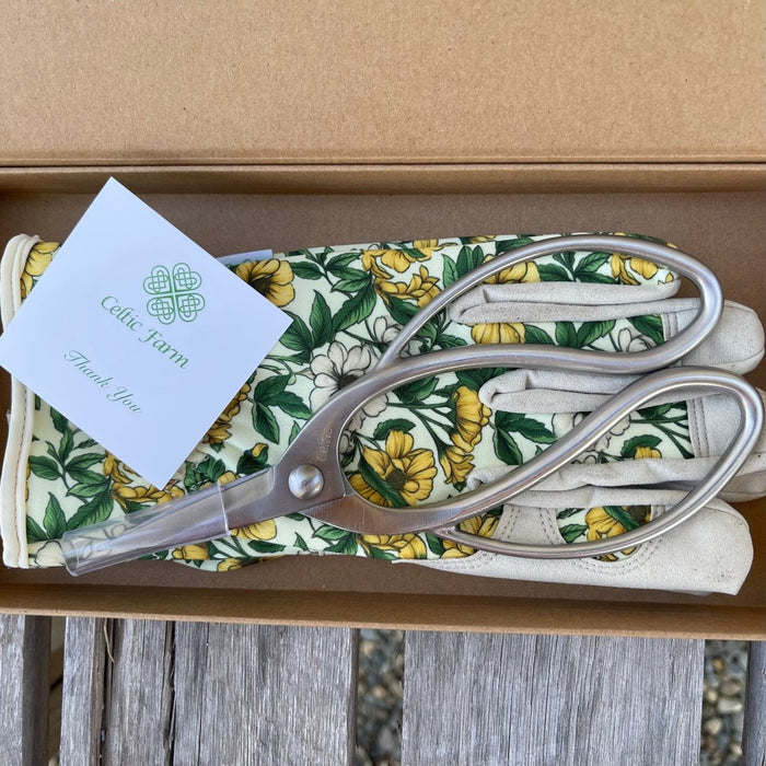 Garden Gift Box - Gloves and Snips - Ed's Plant Shop