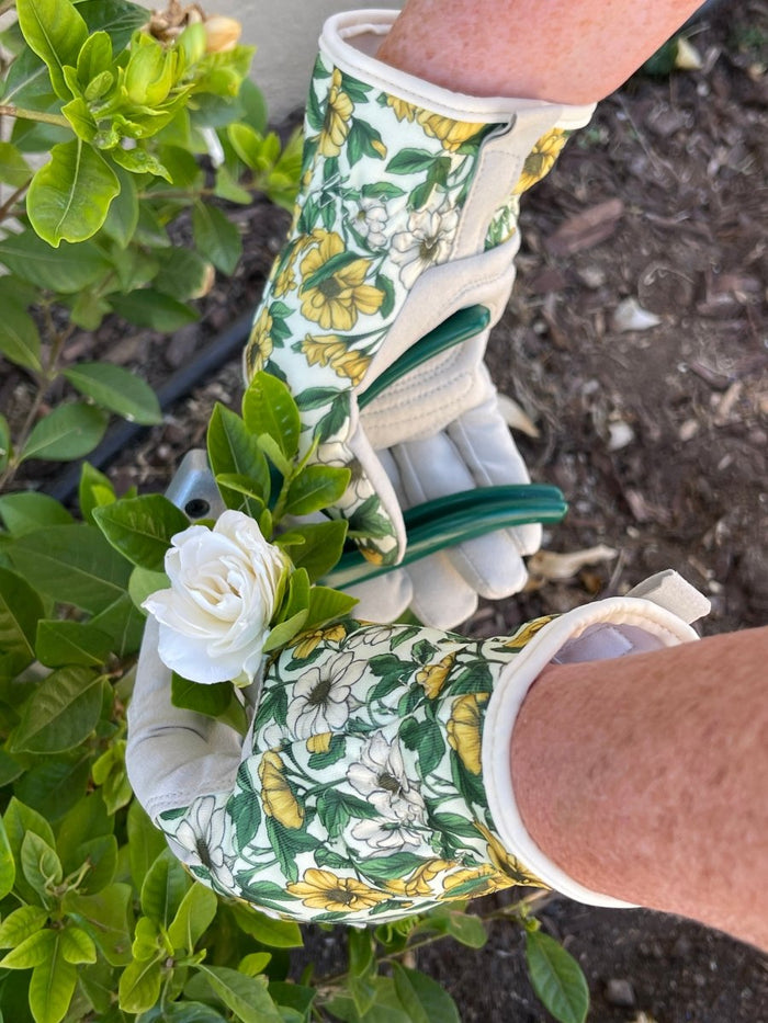 Garden Gift Box - Gloves and Snips - Ed's Plant Shop