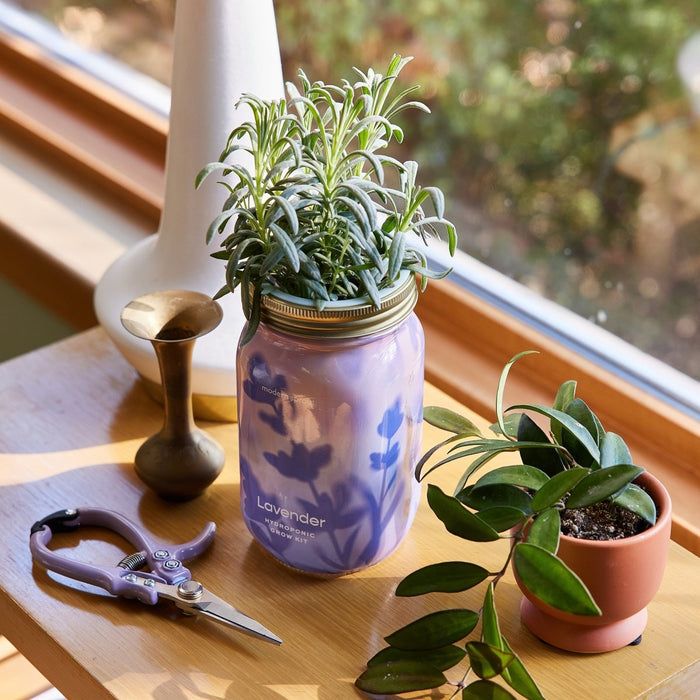 Garden Jars - Organic Herbs - Ed's Plant Shop
