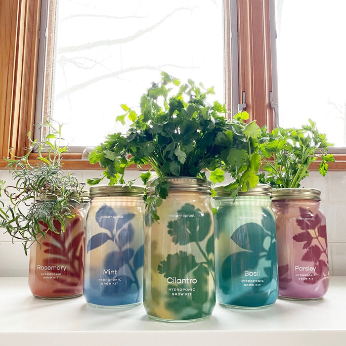 Garden Jars - Organic Herbs - Ed's Plant Shop