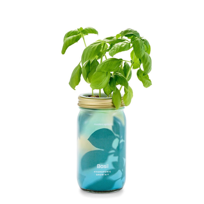 Garden Jars - Organic Herbs - Ed's Plant Shop
