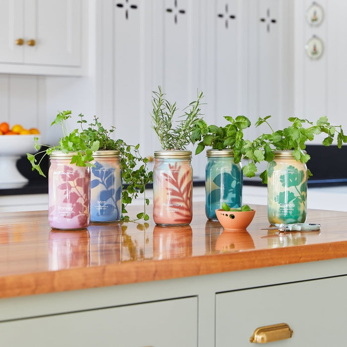 Garden Jars - Organic Herbs - Ed's Plant Shop