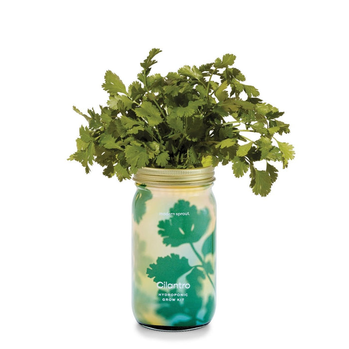 Garden Jars - Organic Herbs - Ed's Plant Shop