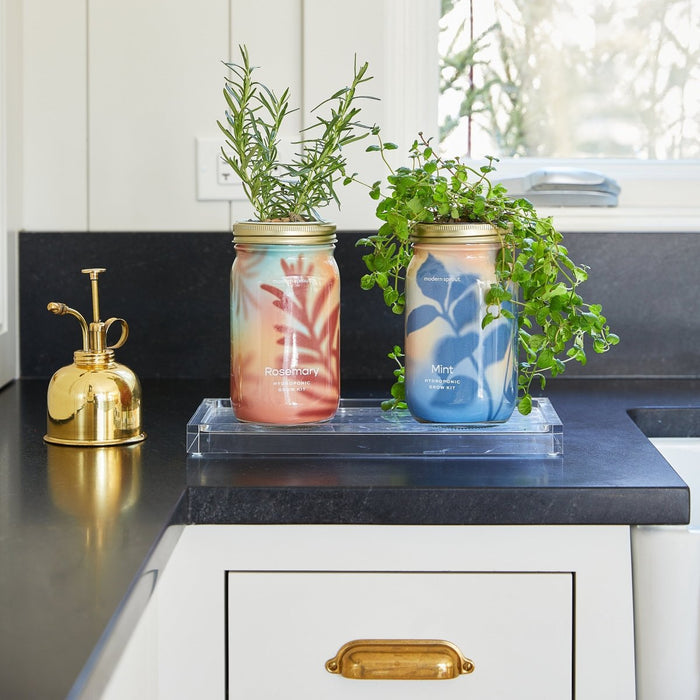 Garden Jars - Organic Herbs - Ed's Plant Shop