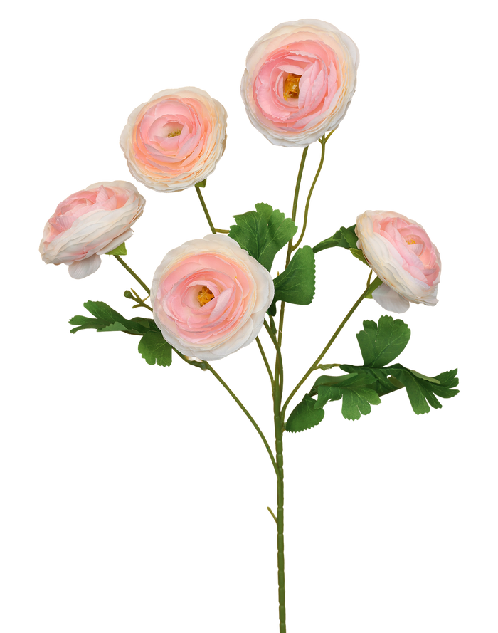 Garden Ranunculus | Available in 3 Colors
