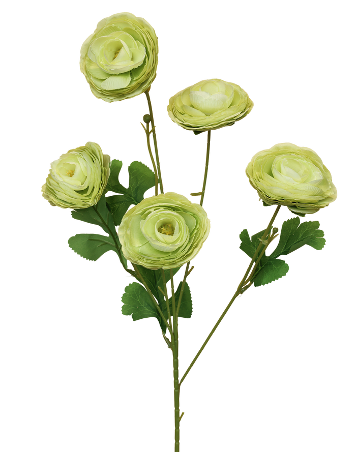 Garden Ranunculus | Available in 3 Colors