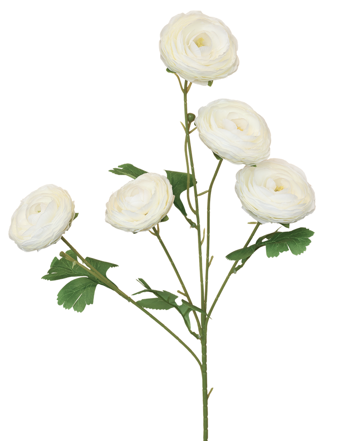 Garden Ranunculus | Available in 3 Colors
