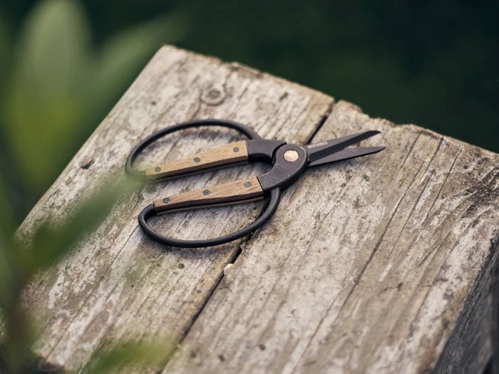 Garden Scissors - Small - Ed's Plant Shop