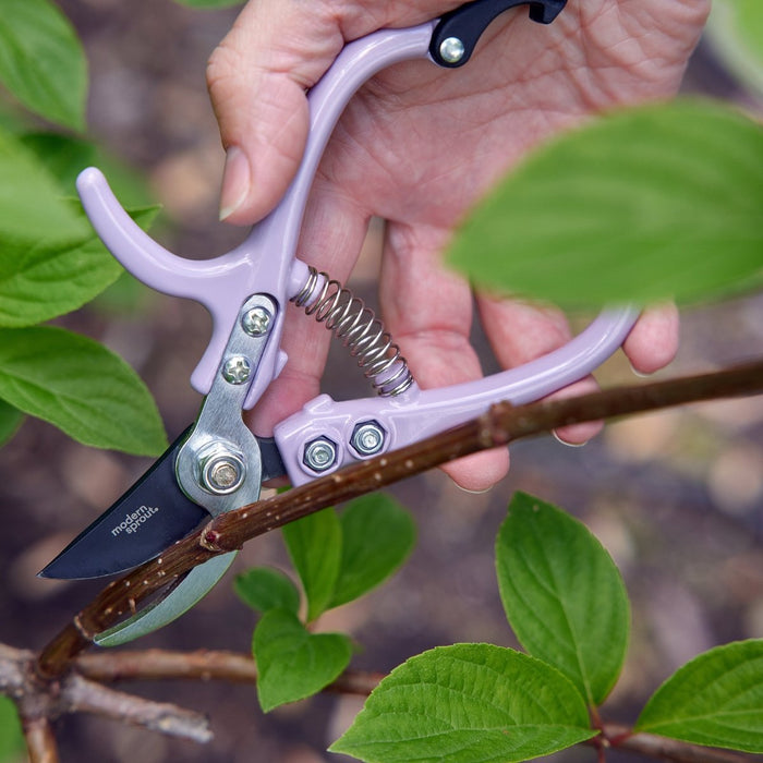 Gardening Shears & Pruners by Modern Sprout - Ed's Plant Shop