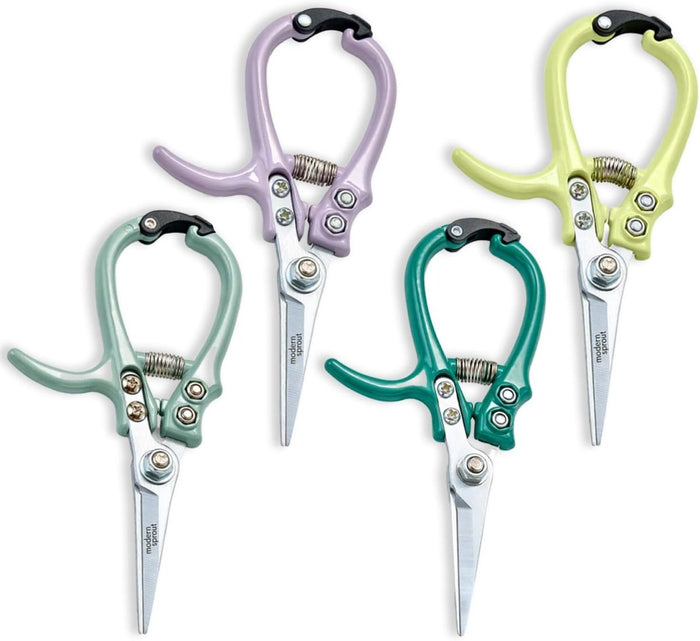 Shears 12pk - Multi