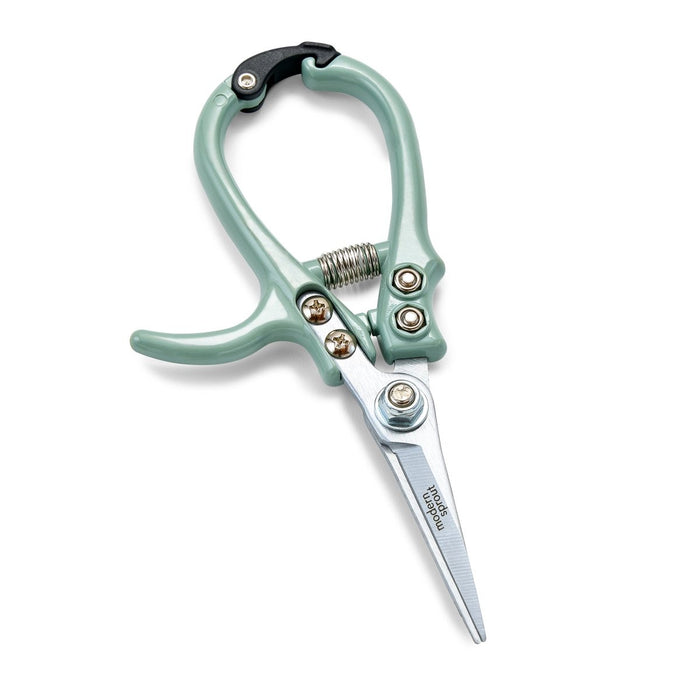Shears 1pk - Sage