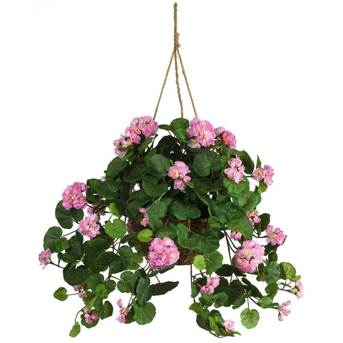 Geranium Hanging basket with pink flowers and green leaves on a white background
