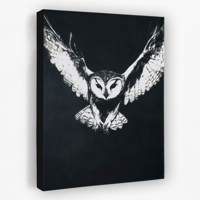 Ghostly Barn Owl - Bird Canvas Wall Art