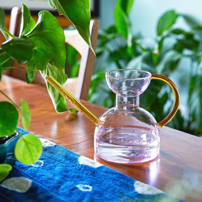 Glass Watering Can | Elegant, Multi - Functional Plant Care Tool - Ed's Plant Shop