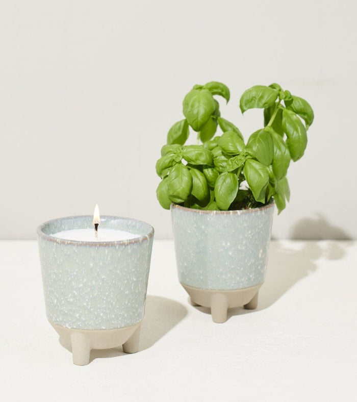 Glow & Grow Candle - to - Planter Kit – Basil, Daisies, Aloe, or Spruce - Ed's Plant Shop