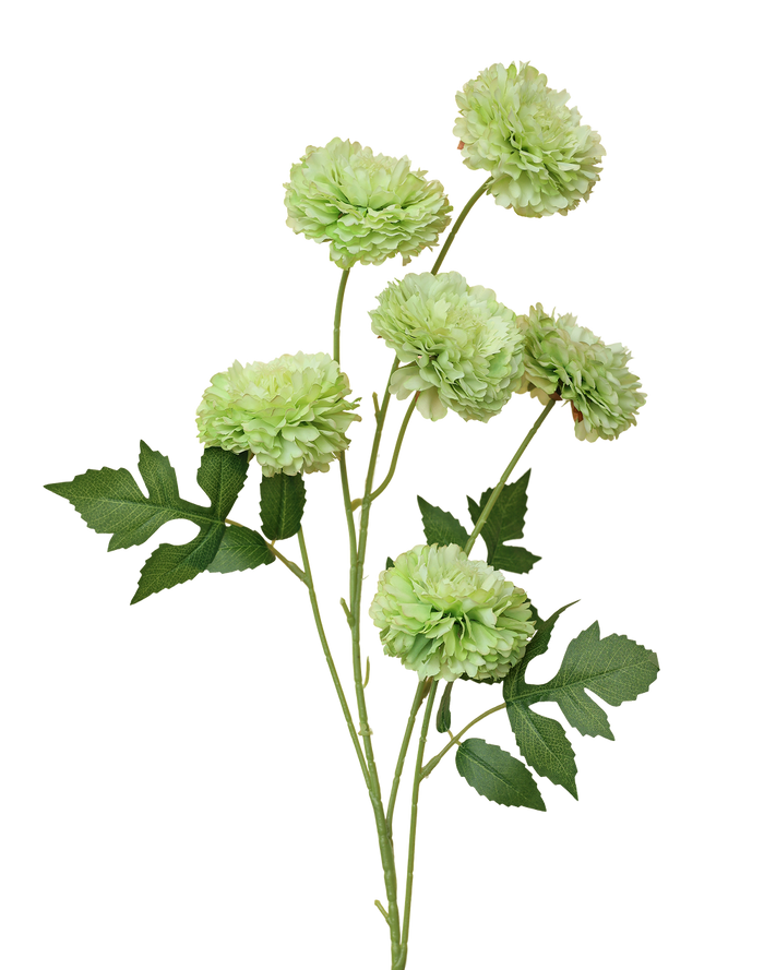 Green 6-Head Pompom Spray
