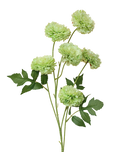 Green 6-Head Pompom Spray
