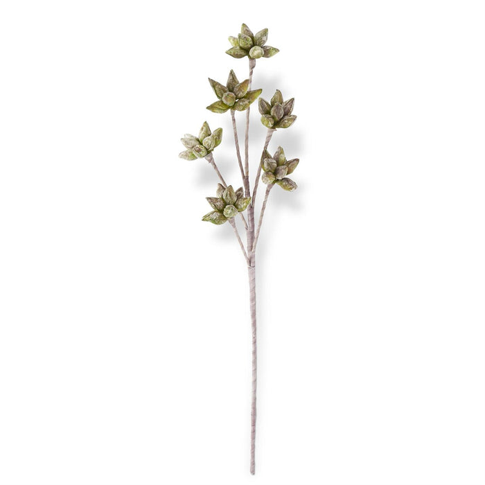 Green & Burgundy Eva 6 Pod Stem 35 Inch
